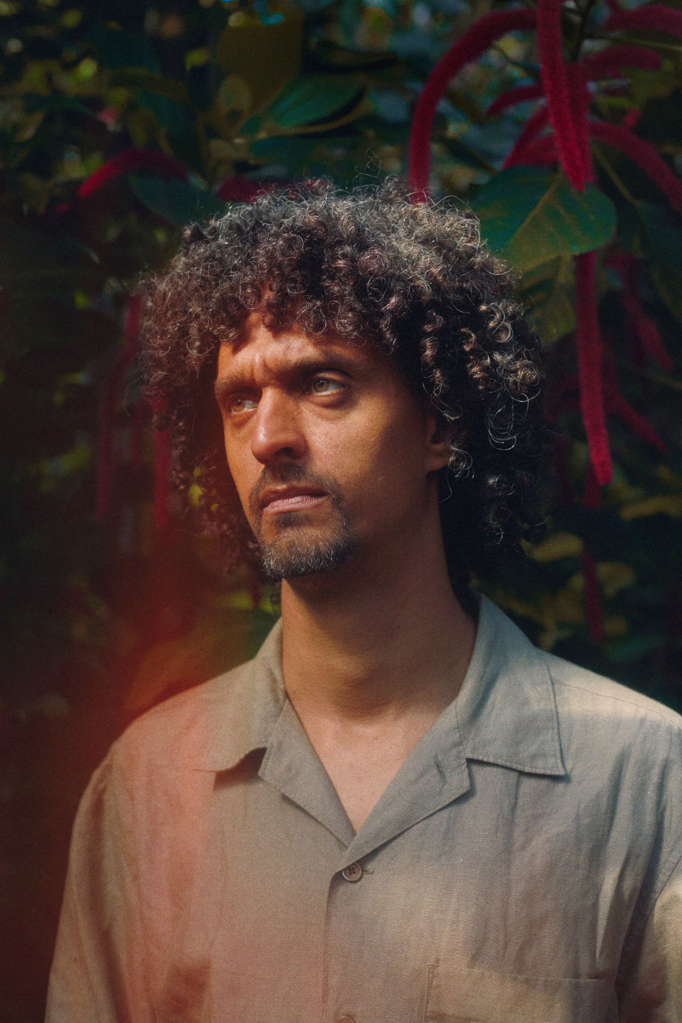 Trigo Santana